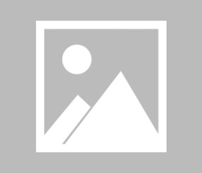 【早报】绝地反杀未遂，车毁仁亡继续！